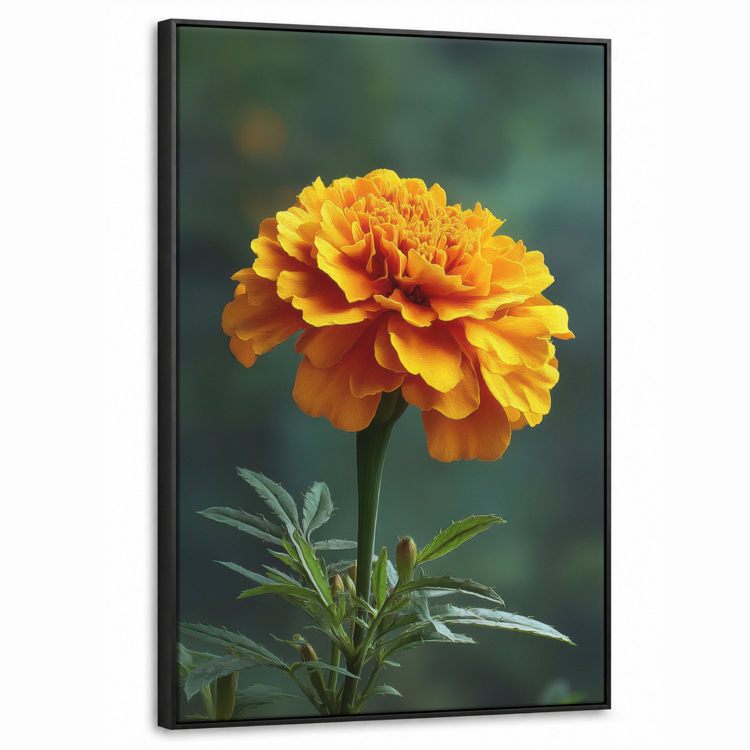 Canvas Schilderij met Baklijst 60x90cm - Bloemblaadjes - Afrikaan - Oranje - Wazig - Muurdecoratie woonkamer - Slaapkamer decoratie - Kamer accessoires - Schilderijen op canvas met lijst
