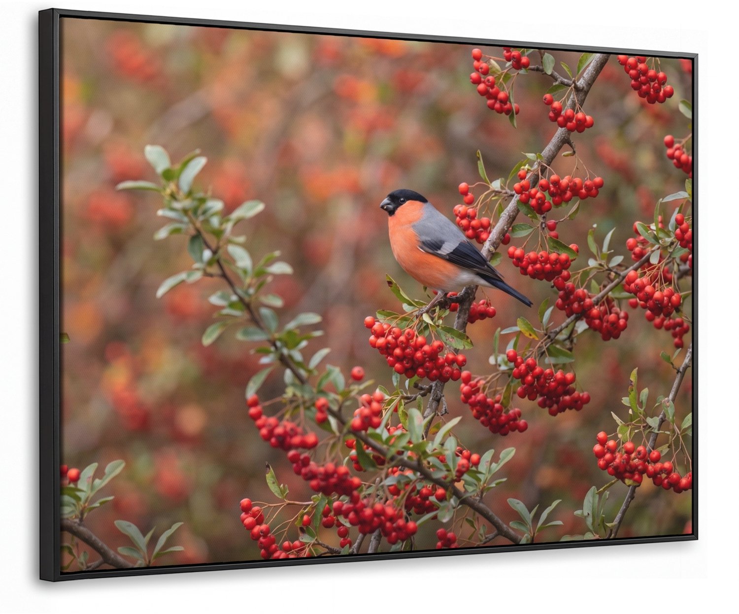Canvas Schilderij met Baklijst 100x70cm - Goudvink - Bessen - Herfst - Natuur - Kleurrijk - Muurdecoratie woonkamer - Slaapkamer decoratie - Kamer accessoires - Schilderijen op canvas met lijst