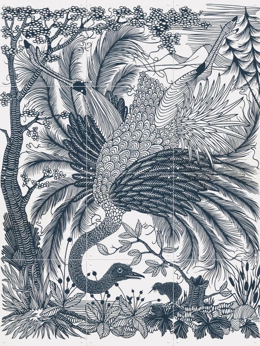 IXXI Ostrich, Geertje Aalders - 60 x 80 cm - Gratis ophangtool - Grote wanddecoratie en posters - Illustraties, Houtsnede, Line art, Woonkamer