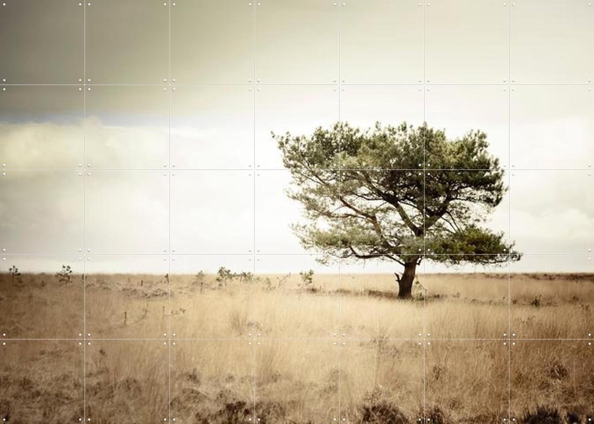 IXXI Solitude, Claire Droppert - 140 x 100 cm - Gratis ophangtool - Grote wanddecoratie en posters - Naturalisme, Realisme, Minimalisme, Fotografie
