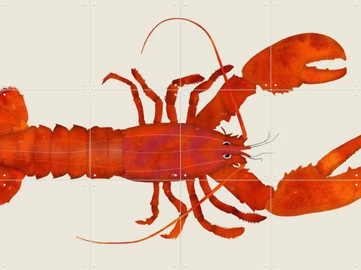 IXXI Lobster, Merel Corduwener - 80 x 60 cm - Gratis ophangtool - Grote wanddecoratie en posters - Grafisch Ontwerp, Illustraties, Speels, Digitale