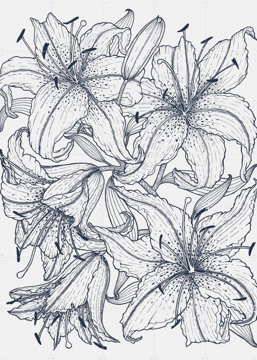 IXXI Lilies Grey, Geertje Aalders - 100 x 140 cm - Gratis ophangtool - Grote wanddecoratie en posters - Illustraties, Line art, Woonkamer, Slaapkamer