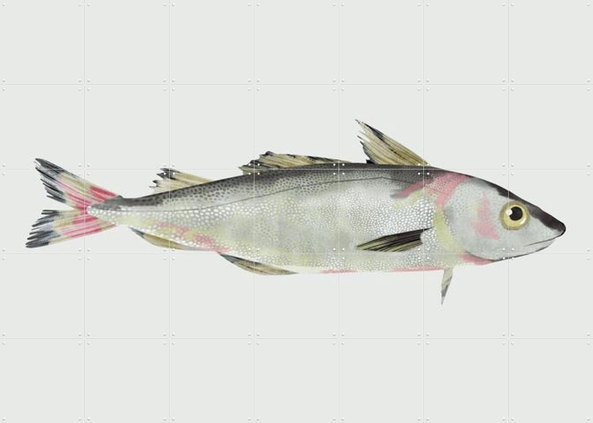 IXXI Haddock, Merel Corduwener - 140 x 100 cm - Gratis ophangtool - Grote wanddecoratie en posters - Realisme, Illustraties, Keuken, Woonkamer