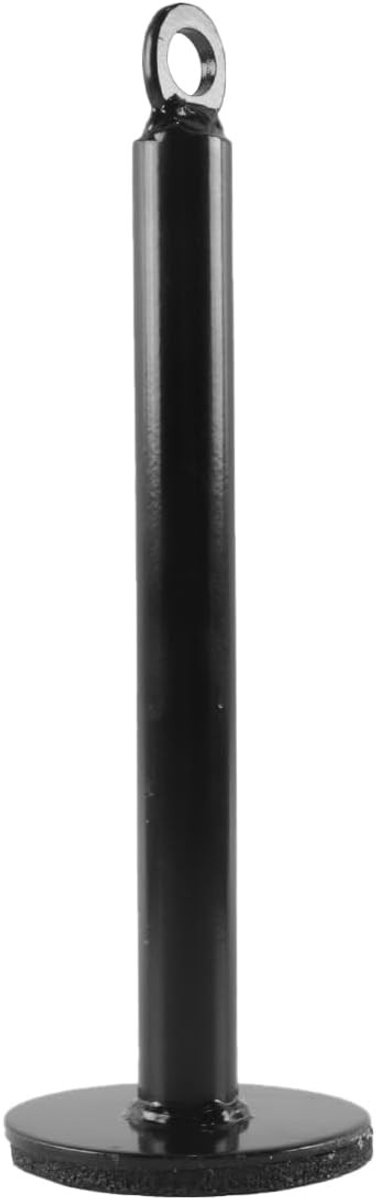 Gewichtslast Pen voor Gewichtsschijven, Ondersteuningsframe en Vrije Gewichten - Fitnessapparatuur 20x 220mm, Ideaal voor Krachttraining en Thuisgym
