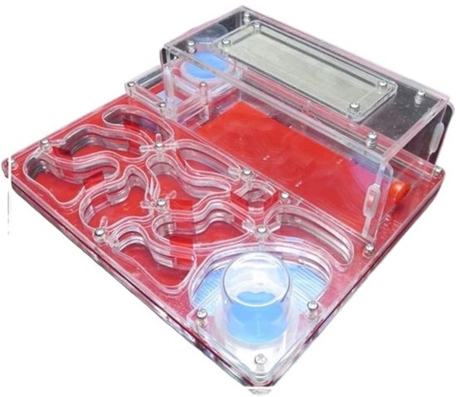 Acryl mierenboerderij - Kweekset voor mieren - Mieren observeren - Dubbele watertoren - 20x17x7.5cm - Rood