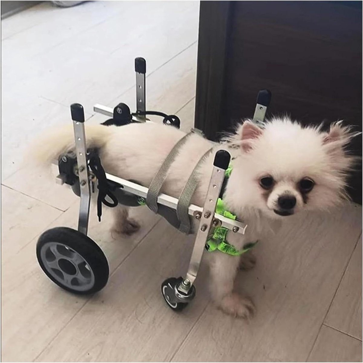 Honden Rolstoel - Mobiliteitshulpmiddel Honden - Ondersteuning Lopen - Lichtgewicht Aluminium - Verstelbaar - Zilverkleurig