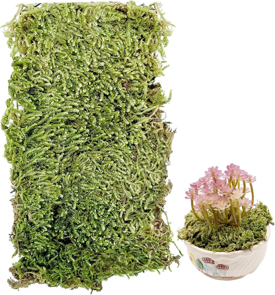 SnelShoppen - Kunstgras Model Landschap, Kunstmatige Mos voor Treinlandschap, Decoratieve Groene Mos, 1 Pack, Natuurlijke uitstraling, Voor Diorama en