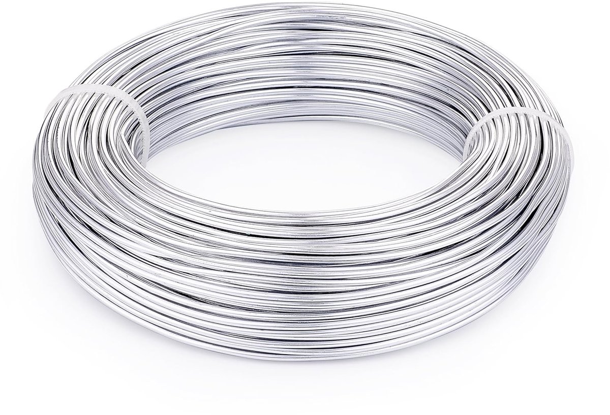 Draad van 100 meter met een dikte van 2,5 mm, voor knutselen (zilver)