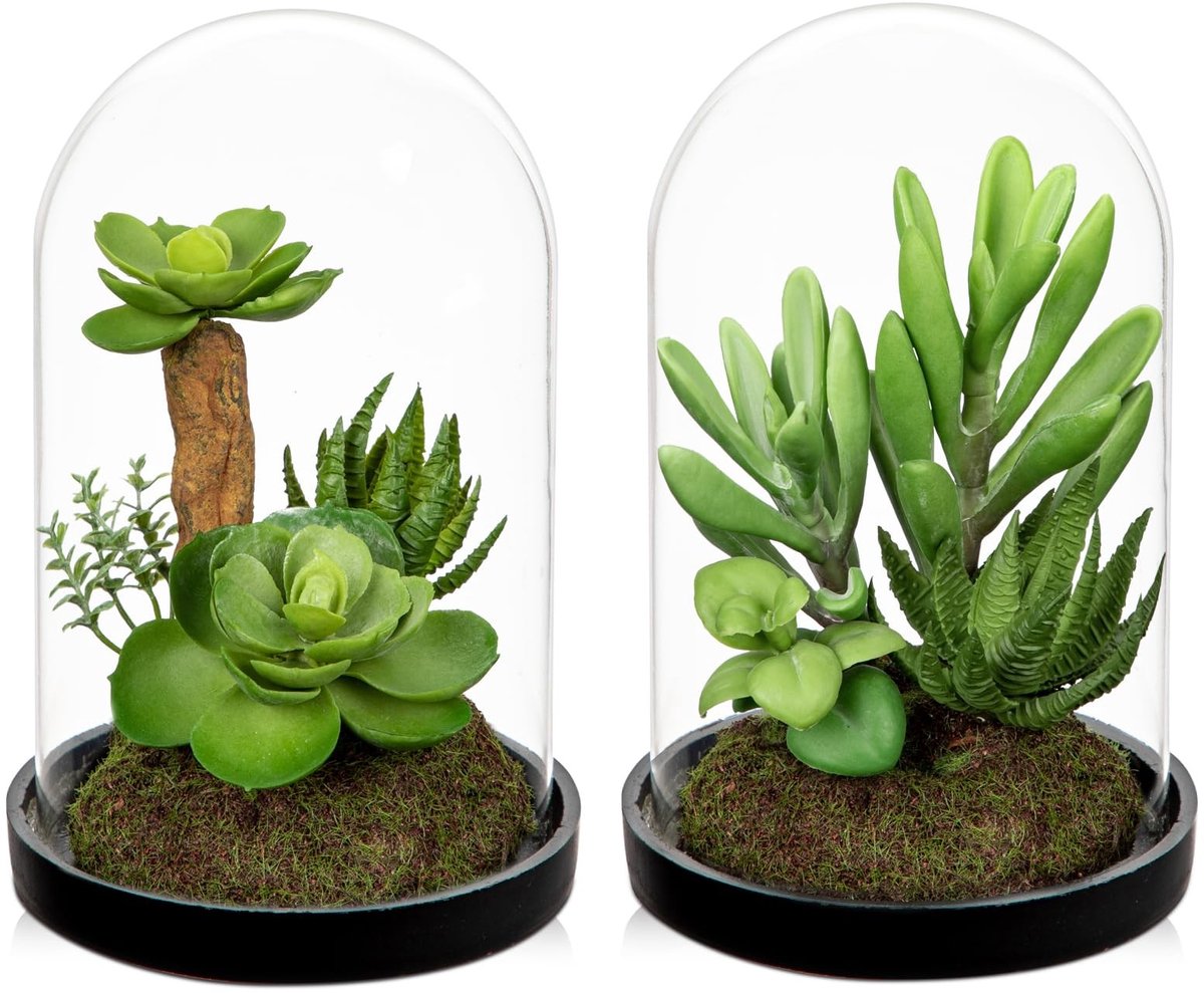 Omgoods- Kunstmatige Vetplanten Levensecht - Glazen Fles - Groene Planten - Woondecoratie - Decoratief - Uniek Arrangement - Nepplant
