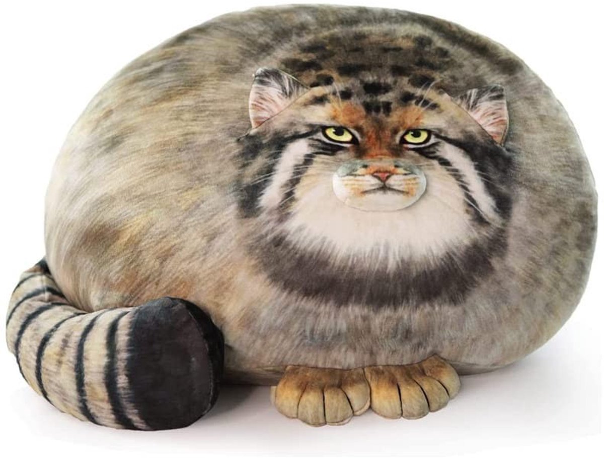 Omgoods - Chubby Steppe Cat Kussen 45 cm Plush