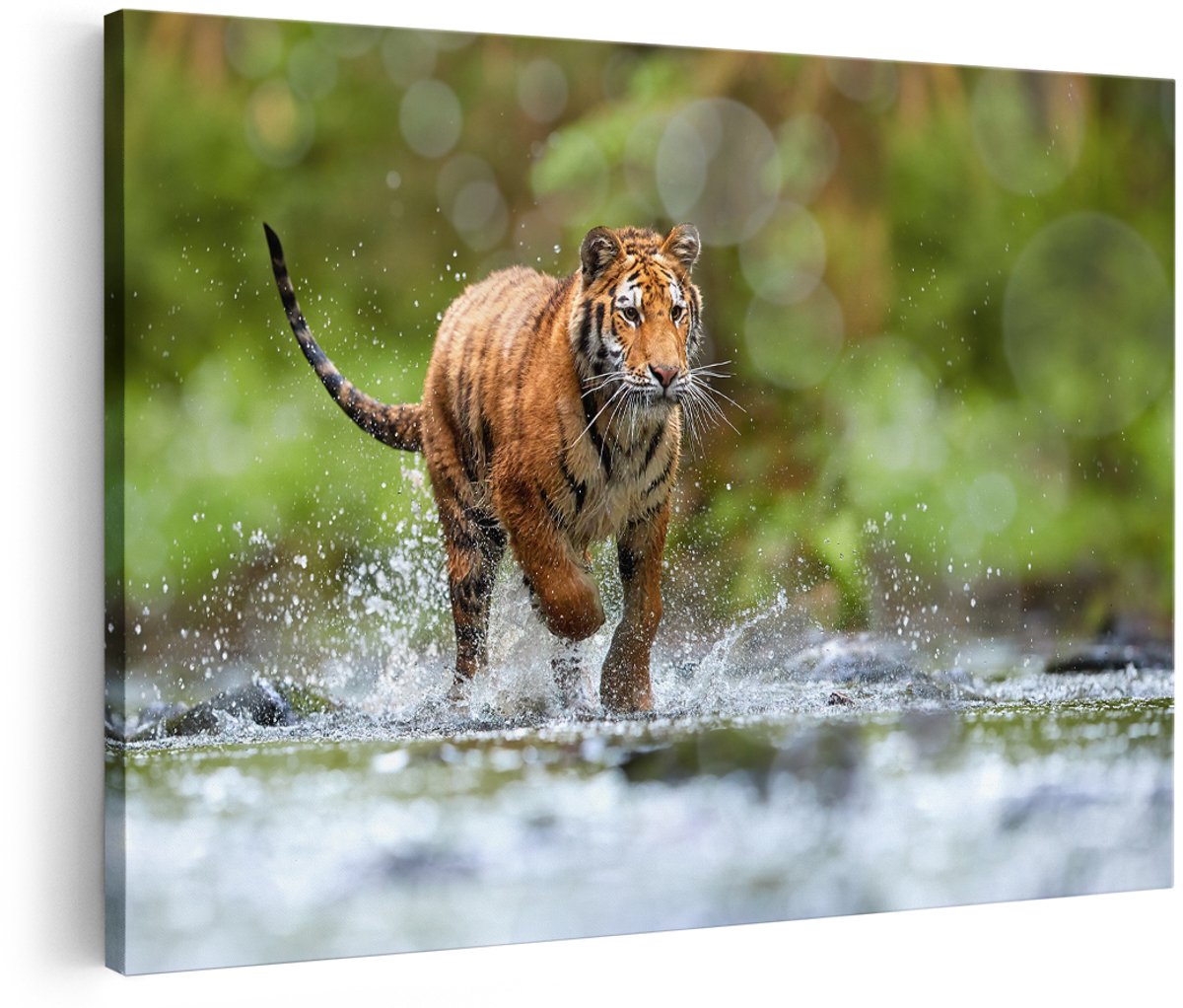 Artaza Canvas Schilderij Tijger Loopt In Het Water - 180x120 cm - Groot - Wanddecoratie Woonkamer - Schilderijen - Muurdecoratie