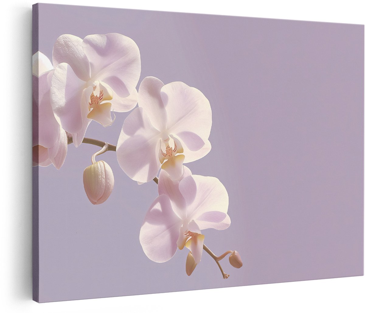 Artaza Canvas Schilderij Orchidee - 180x120 cm - Groot - Wanddecoratie Bloemen - Muurdecoratie Witte Bloesem - Schilderijen Op Canvas Woonkamer - Wit