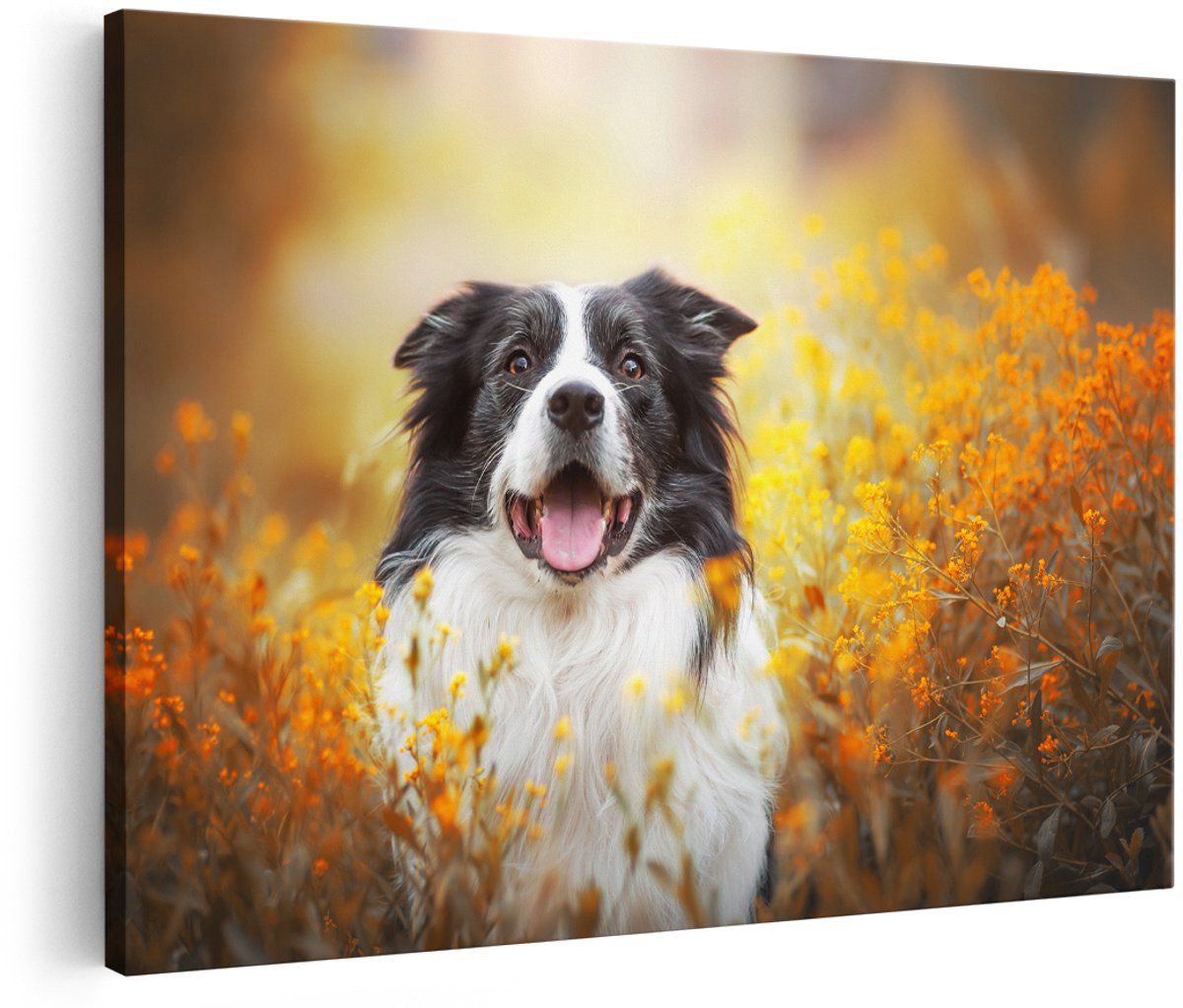 Artaza Canvas Schilderij Blije Hond Tussen De Bloemen - 180x120 cm - Groot - Wanddecoratie Woonkamer - Schilderijen - Muurdecoratie