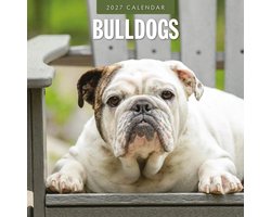 Engelse Bulldog Kalender 2027