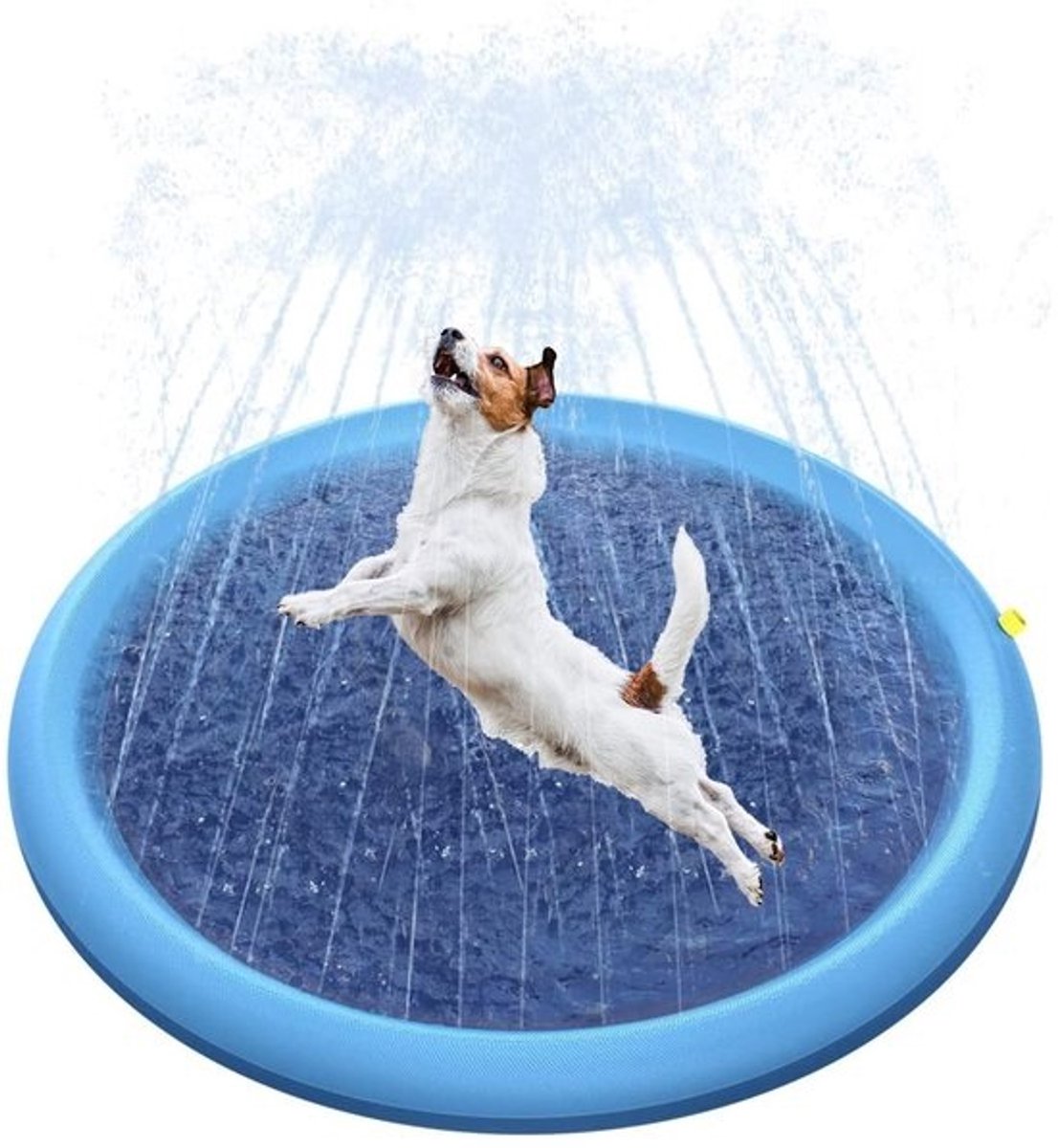 Opblaasbare Watersproeimat voor Honden en Kinderen - Antislip