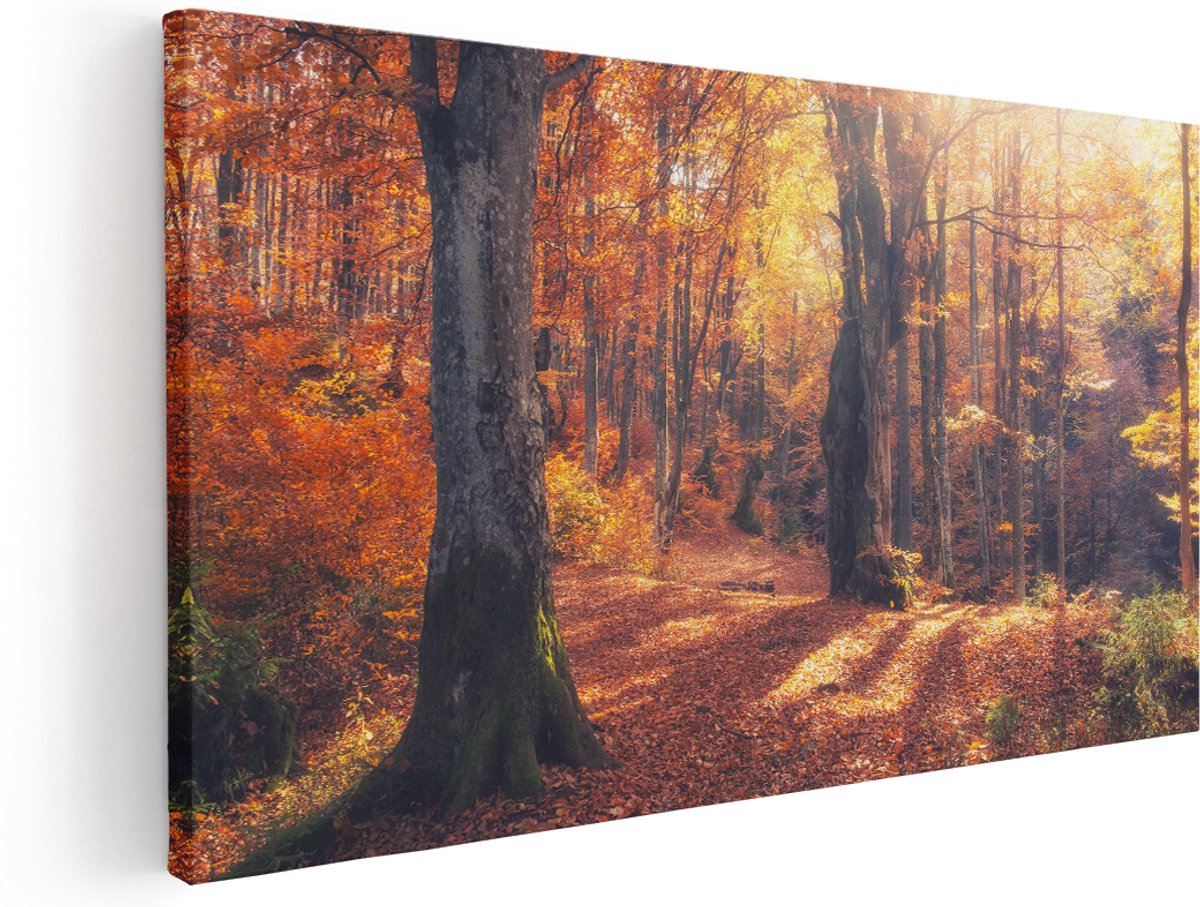 Artaza Canvas Schilderij Oranje Herfstbos Met Zonneschijn - 180x90 cm - Groot - Wanddecoratie Woonkamer - Schilderijen - Muurdecoratie