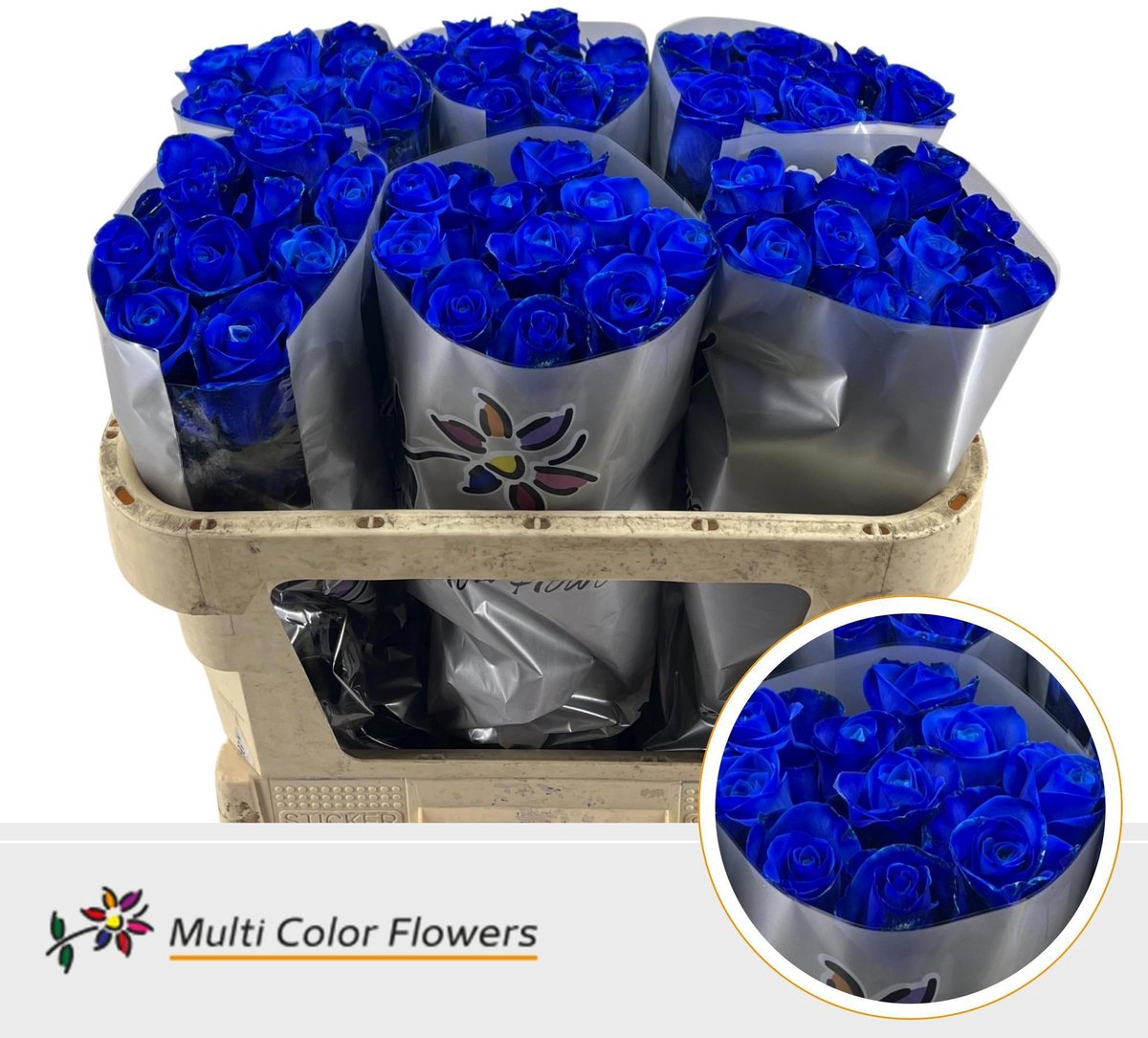 20x Rosa blauw 70cm