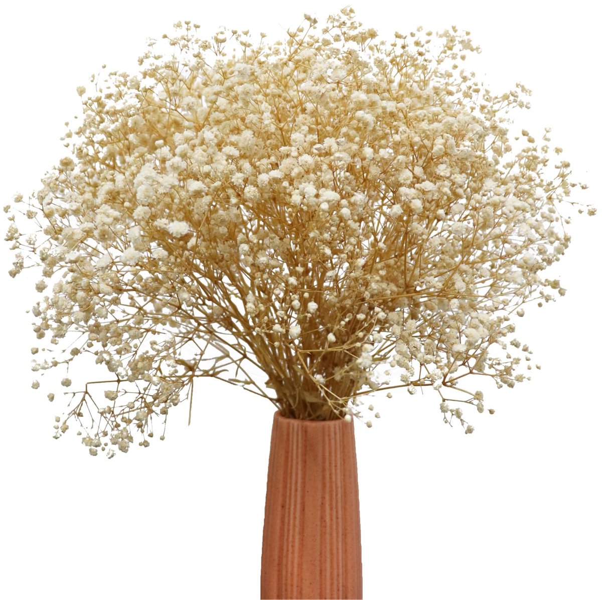 Famanu – Witte gedroogde bloemen Gypsophila takken, natuurlijke Babys Breath bloemenboeket voor thuisdecoratie, bruiloften en DIY kransen