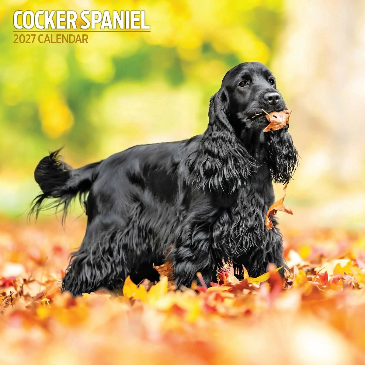 Engelse Cocker Spaniel Kalender 2027