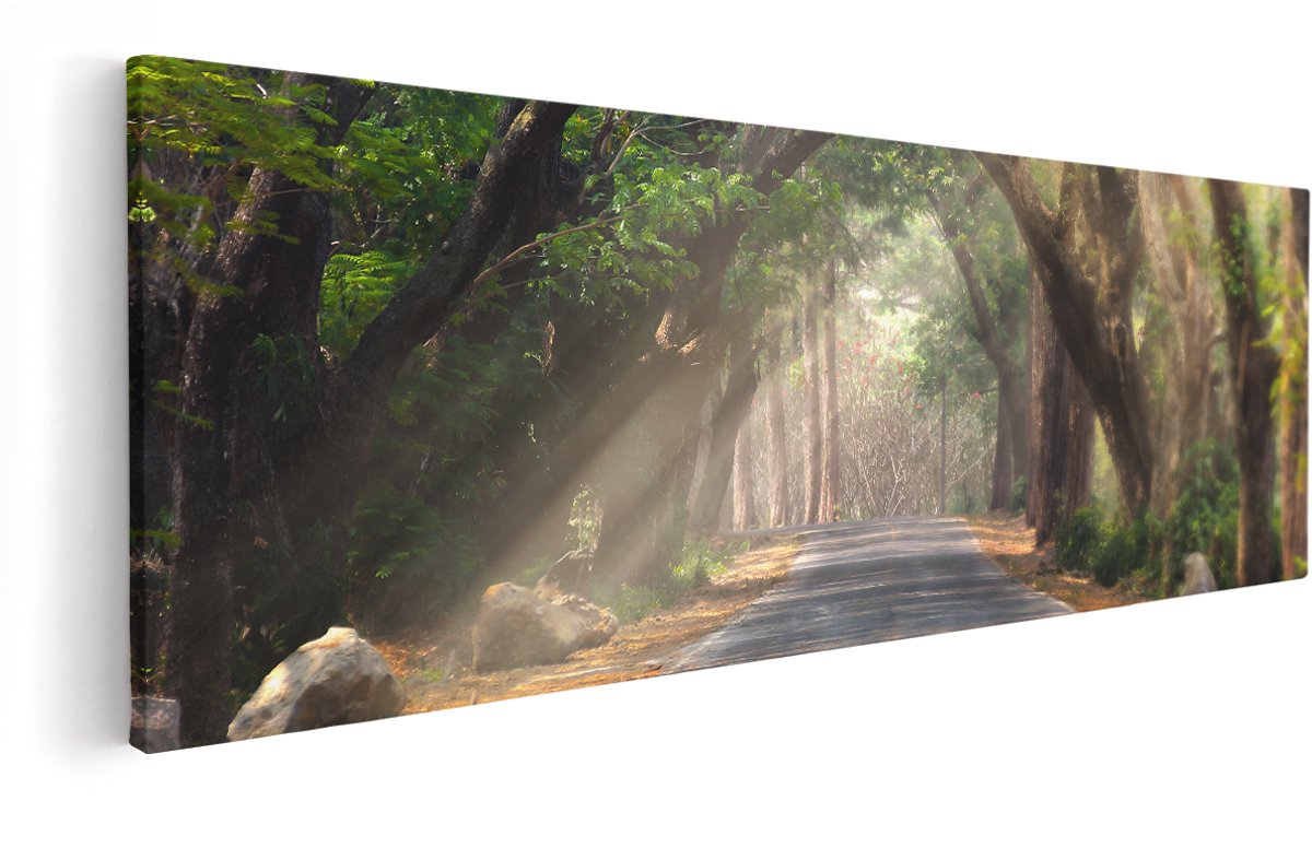 Artaza Canvas Schilderij Weg Omringd Met Bomen - 150x50 cm - Groot - Wanddecoratie Woonkamer - Schilderijen - Muurdecoratie