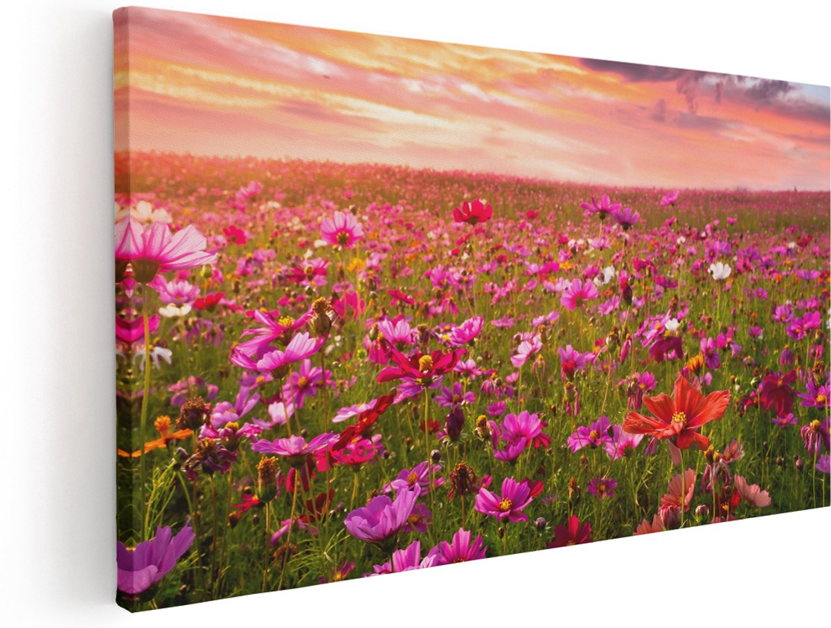Artaza Canvas Schilderij Kleurrijke Kosmos Bloemenveld - 140x70 cm - Groot - Wanddecoratie Woonkamer - Schilderijen - Muurdecoratie
