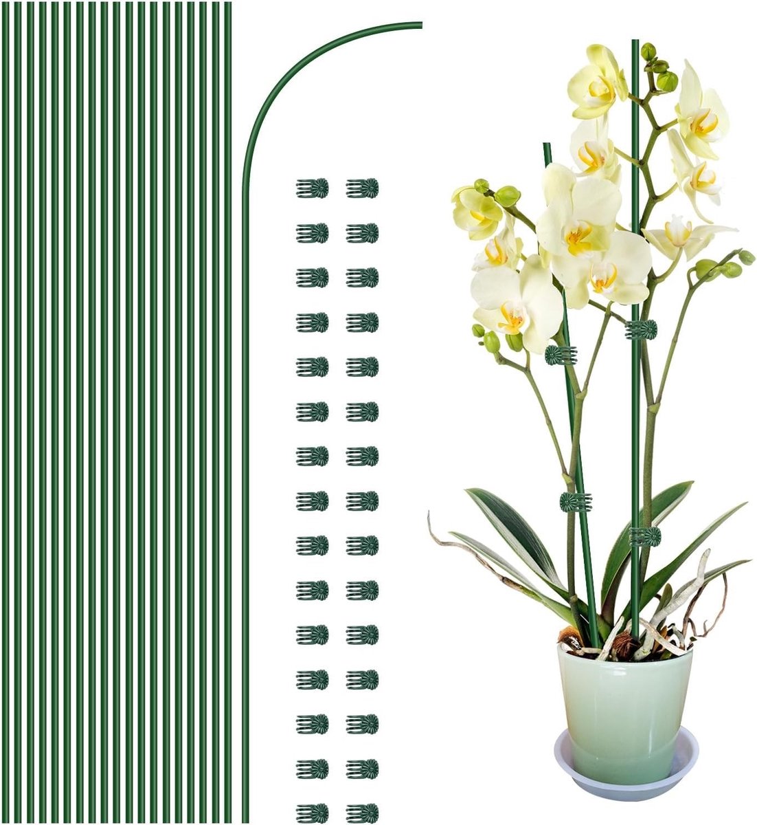 20 Stuks Plantsteunen met 30 Stuks Plantclips, Flexibele Steunen voor Binnen en Buiten, Ideaal voor Orchideeën en Bloemen, 16 Inch Lang
