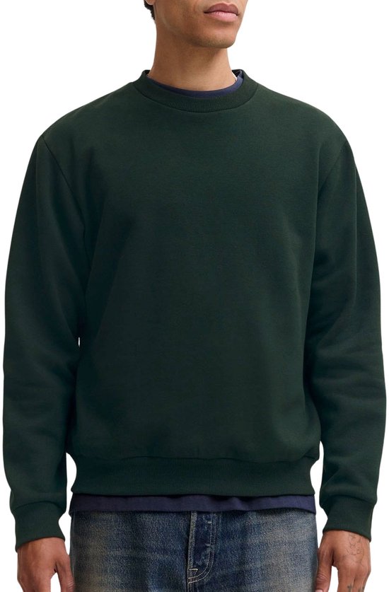 JACK & JONES - JJEBRADLEY SWEAT CREW NOOS Heren Trui