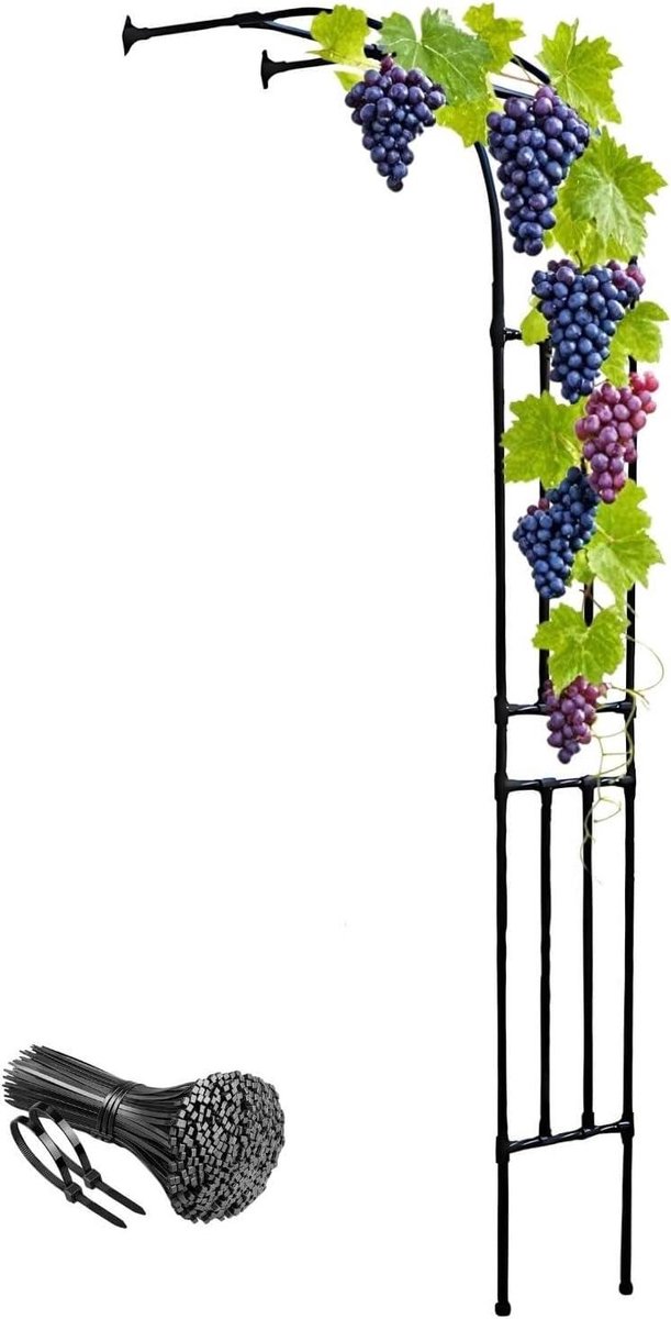 Halve Rozenboog Metaal - Klimboog Tuinboog - Planten Ondersteunen - PE-harscoating - 300 x 240 cm - Zwart