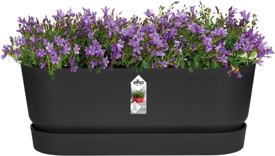 Plantenbak met paarse bloemen en een schotel, gemaakt van zwart kunststof.