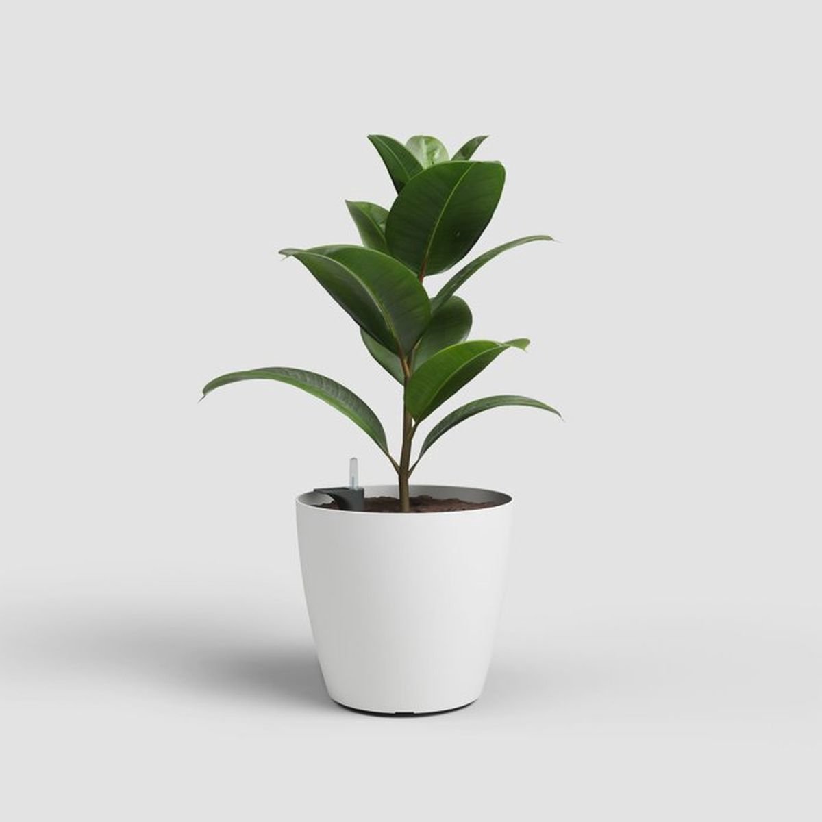 Artevasi San Remo Bloempot Zelfwaterend Ø 42 cm Mat Wit - UV-bestendig - Plantenpot en Bloembak