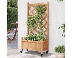 Plantenbak met rankrooster - Bloempot Hout - Planten Kweken - Met Verrijdbare Wielen - 55x29.5x117.5 cm - Bruin