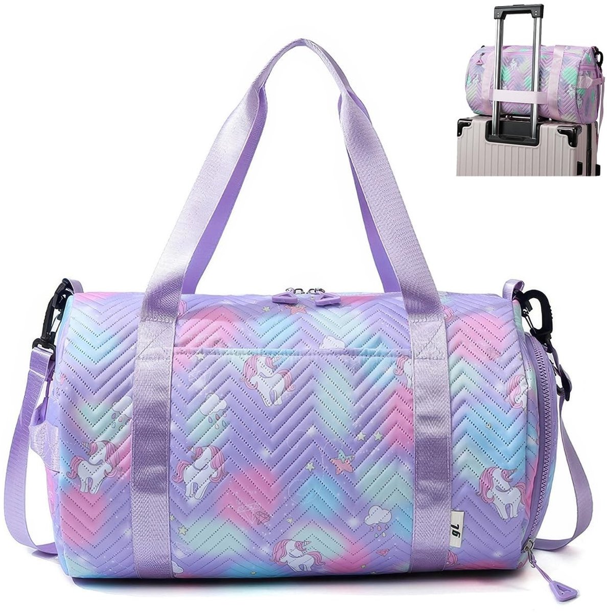 Dailygoods - Dames Sporttas - 45x26x25 cm, Zwemtas met Schoen- en Nat Compartment, Paarse Weekender Bag