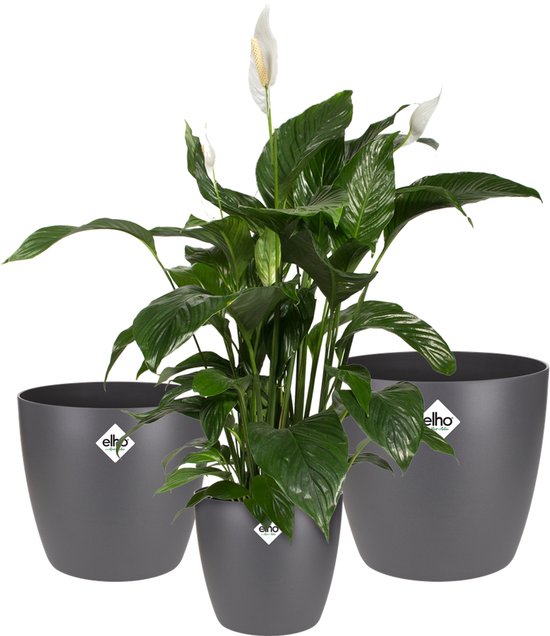 Foto: Elho brussels rond bloempotten plantenpotten voor binnen 100 gerecycled plastic set van 3 16 18 20 cm antraciet