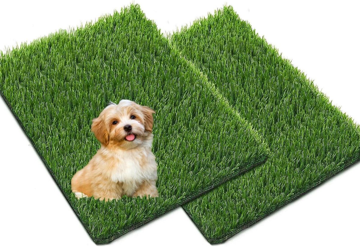 Hondentoilet Kunstgras - Hondenmat Puppy - Zindelijkheidstraining Hond - Geurwerend Antibacterieel - 2 stuks 38x63 cm - Groen