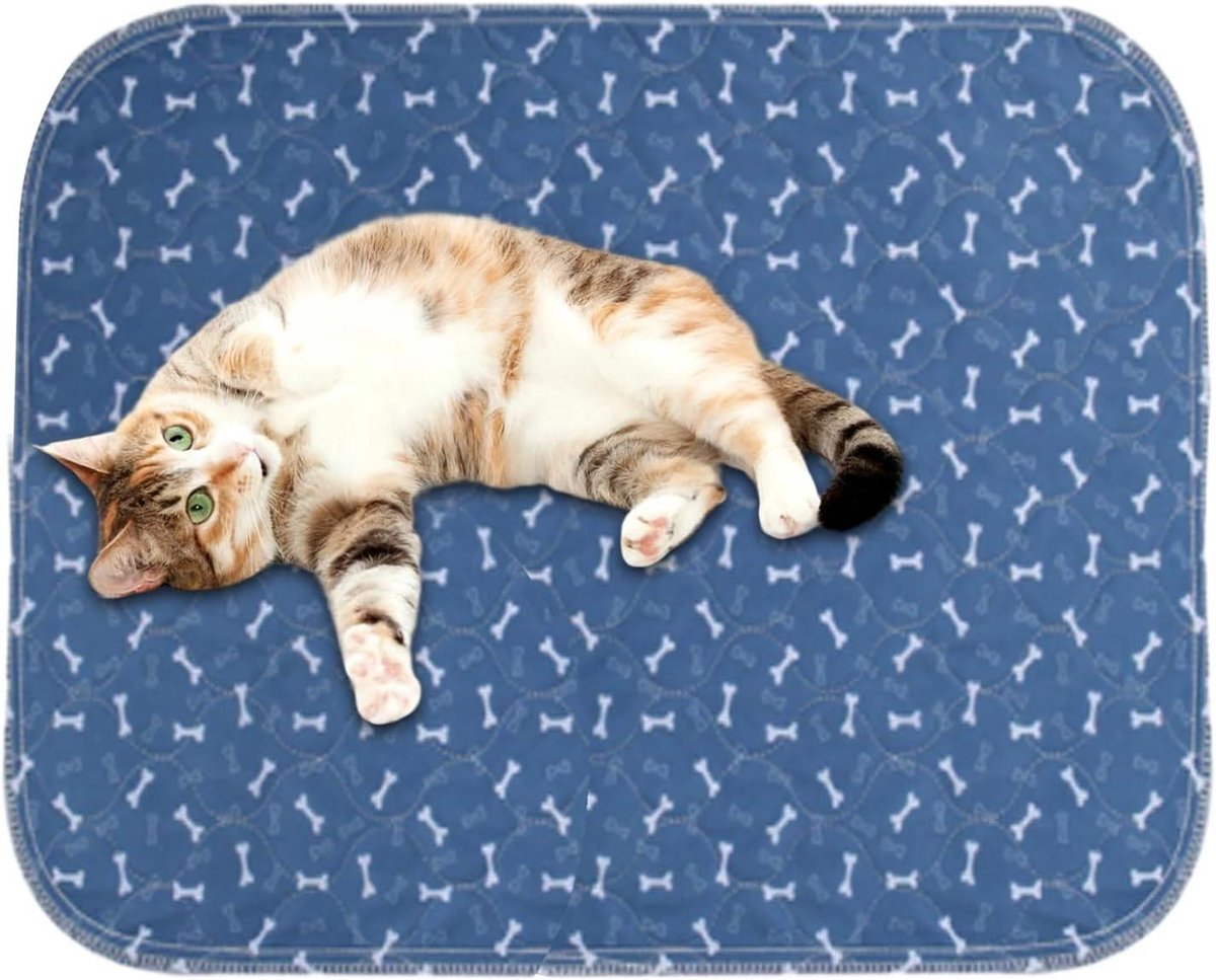 Herbruikbare Plasmatten - Trainingspads Honden - Zindelijkheidstraining - Sterk Absorberend - 60x40cm - Blauw