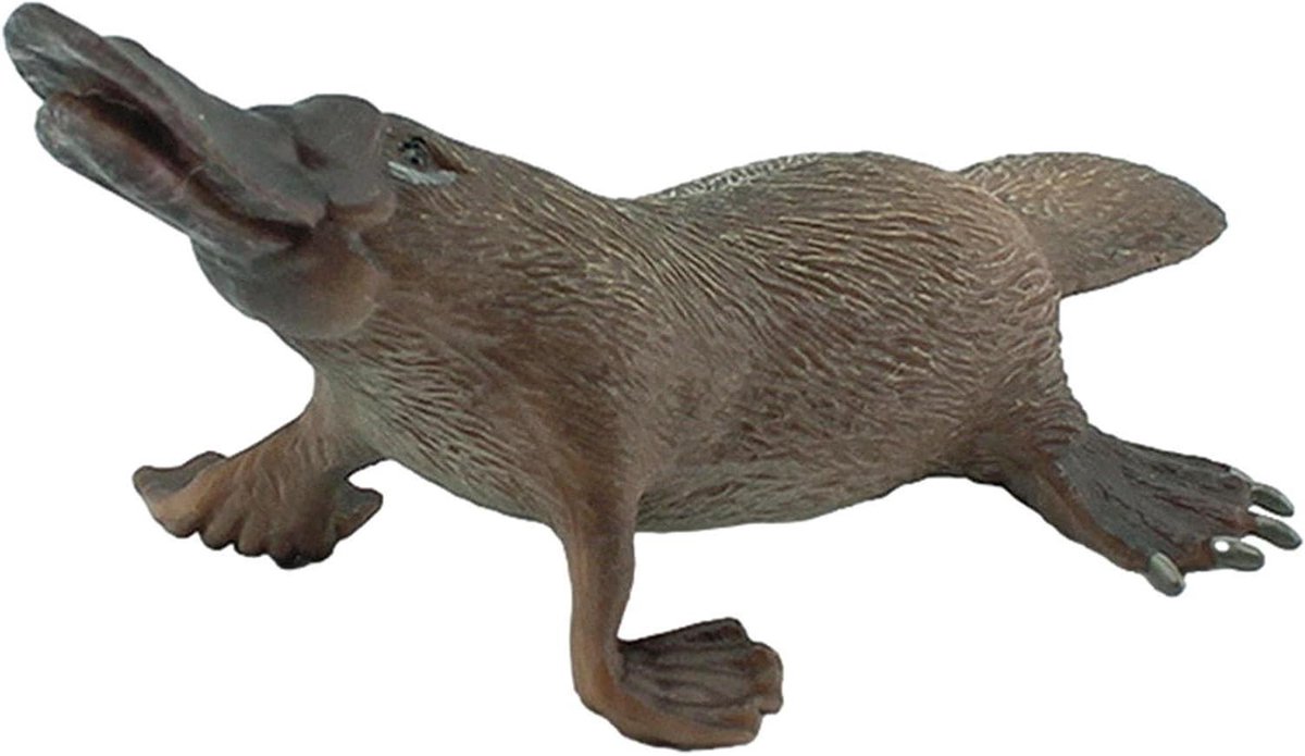 Vogelbekdier Figuur - Dierenbeeldje Speelgoed - Kinderen Leren Spelen - Levendige Realistische Details - 17.5 cm - Bruin