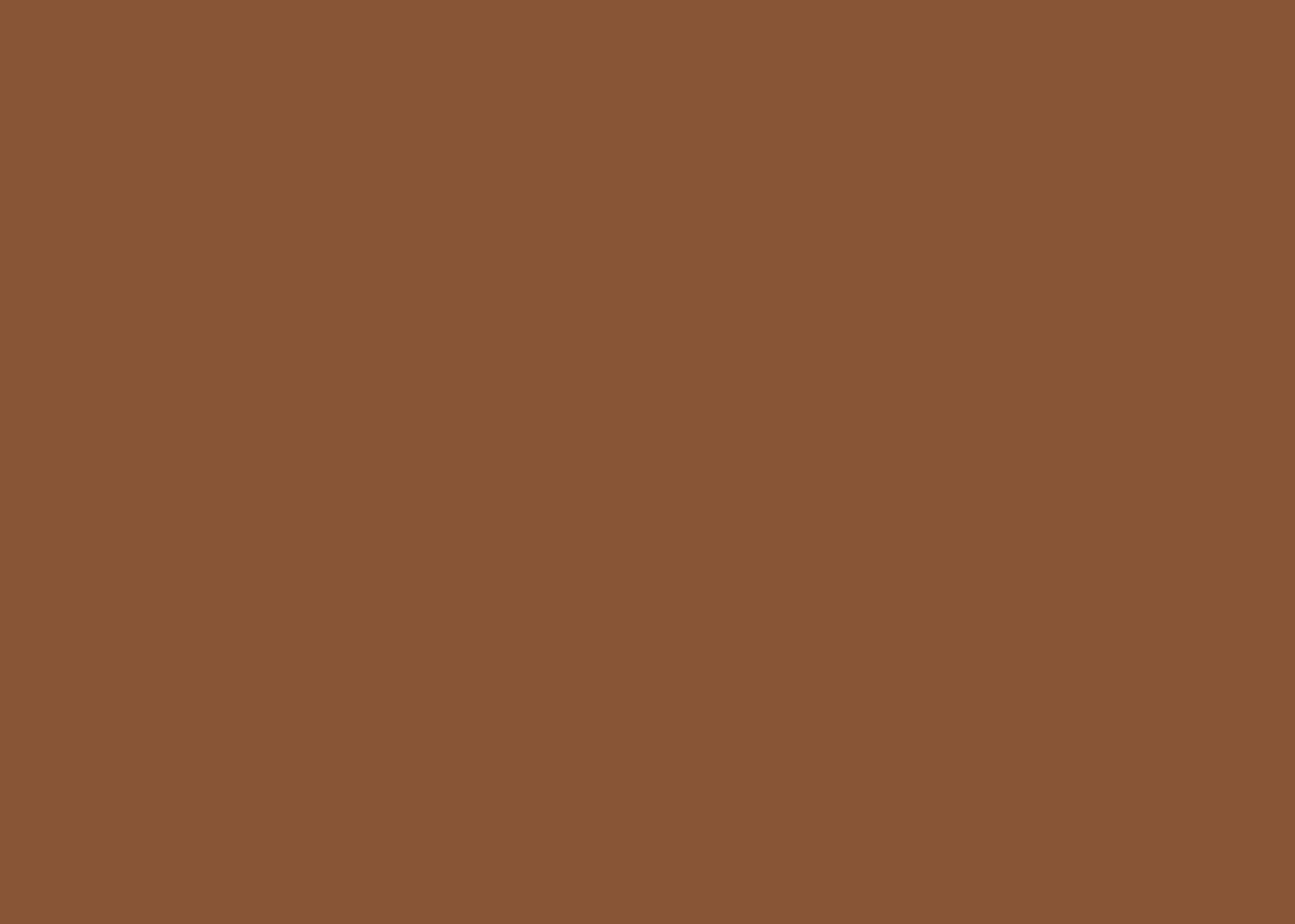 Daniel Ray Pretoria Leren Laptoptas 16,4 inch - Cognac