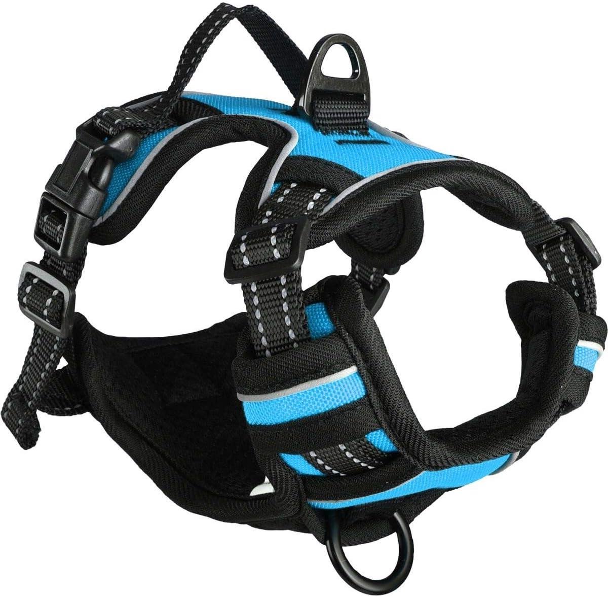 Honden Tuigje - Honden Harnas - Wandelen - Stevig Nylon - 40-55cm - Blauw