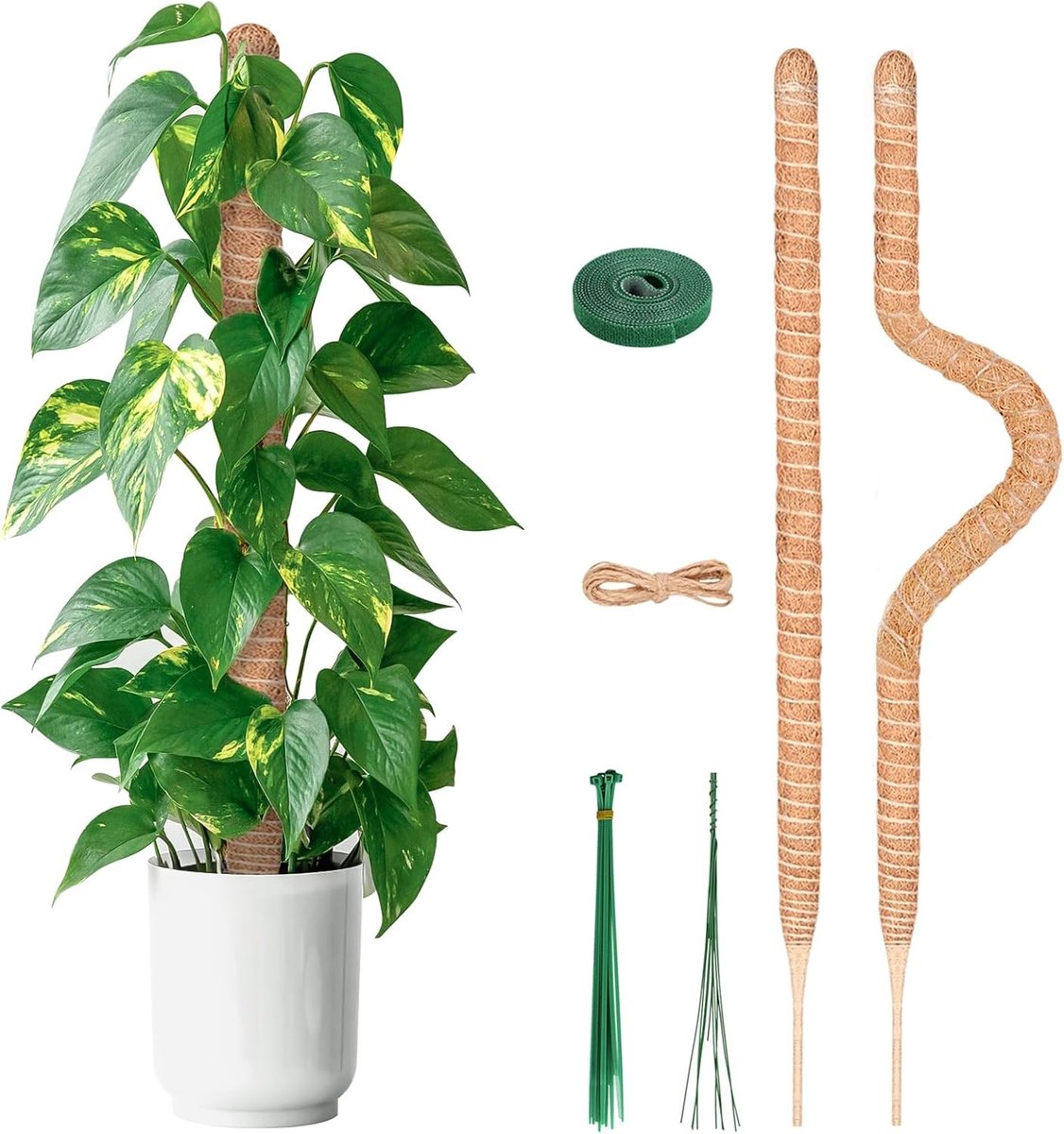 2 Stuks 80cm Buigbare Kokosmos Stokken met Gereedschap, Lange Plant Steun voor Monstera en Klimplanten Groei, Ideaal voor Binnengebruik