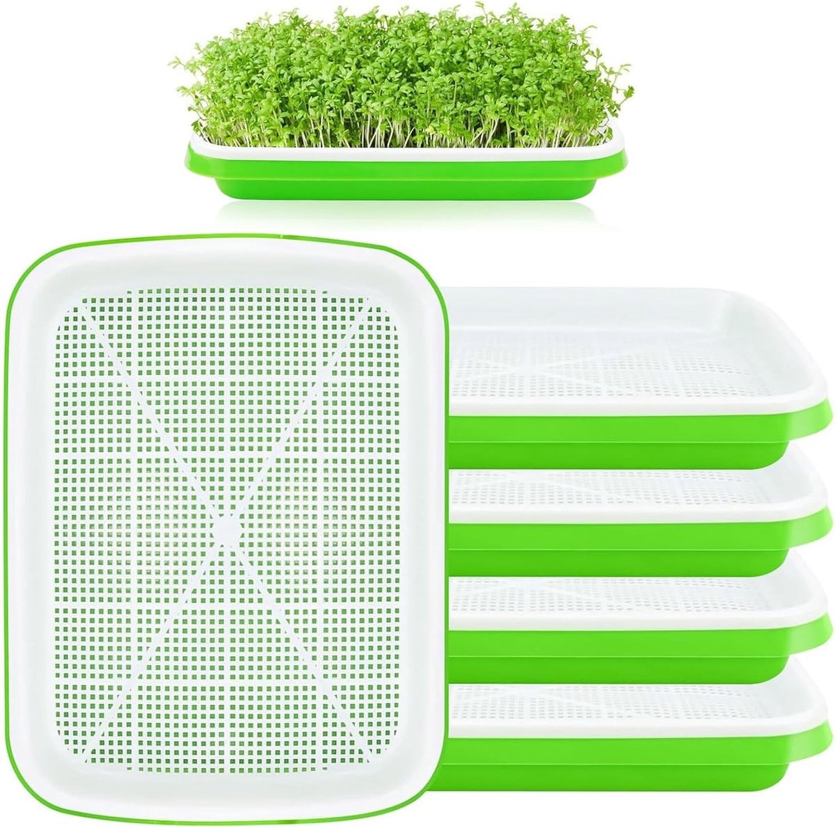 Kiempot - Wit - 32 x 25 x 4,5 cm - Kunststof Kiemschalen Set van 5 - Voor Kiemen en Microgroenten