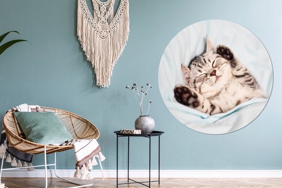 WallCircle - Cercle Mural - Cercle Mural - Chaton - Lit - Pieds - Filles - Enfants - Garçons - Enfant - Aluminium - Dibond - 140x140 cm - Intérieur et Extérieur