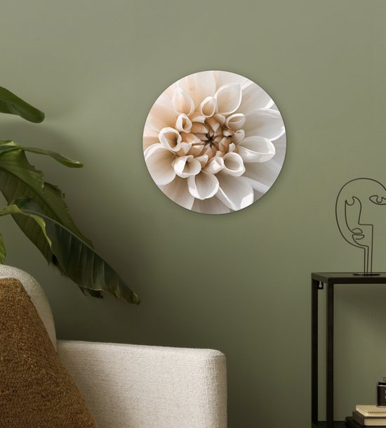 Wandcirkel met een close-up van een dahlia, wit met beige in het centrum.