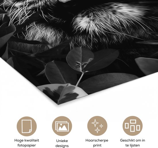 Affiche Tigre entre les plantes - noir et blanc - 60x90 cm