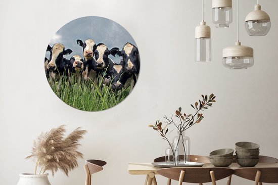 Ciel gris au dessus du troupeau de vaches frisonnes Cercle mural aluminium ⌀ 90 cm - tirage photo sur cercle mural / cercle vivant / cercle de jardin (décoration murale)