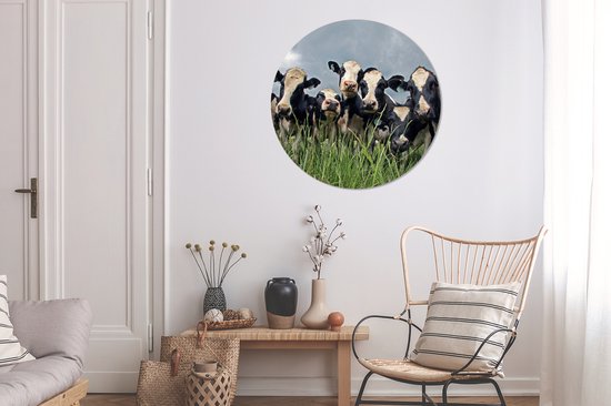 Ciel gris au dessus du troupeau de vaches frisonnes Cercle mural aluminium ⌀ 90 cm - tirage photo sur cercle mural / cercle vivant / cercle de jardin (décoration murale)