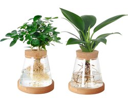 Glazen avocado-vaas, 2 stuks, plantenkweekstation, transparante glazen plantenpot met houten deksel en bamboestandaard voor hydrocultuur, thuiskantoor, tafeldecoratie