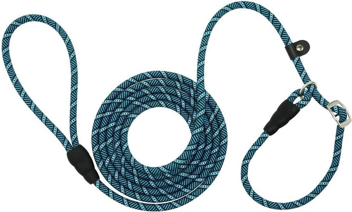 Hondenriem Touw - Trainingslijn - Veilig Wandelen - Reflecterend Nylon - 300 cm Lengte - Blauw