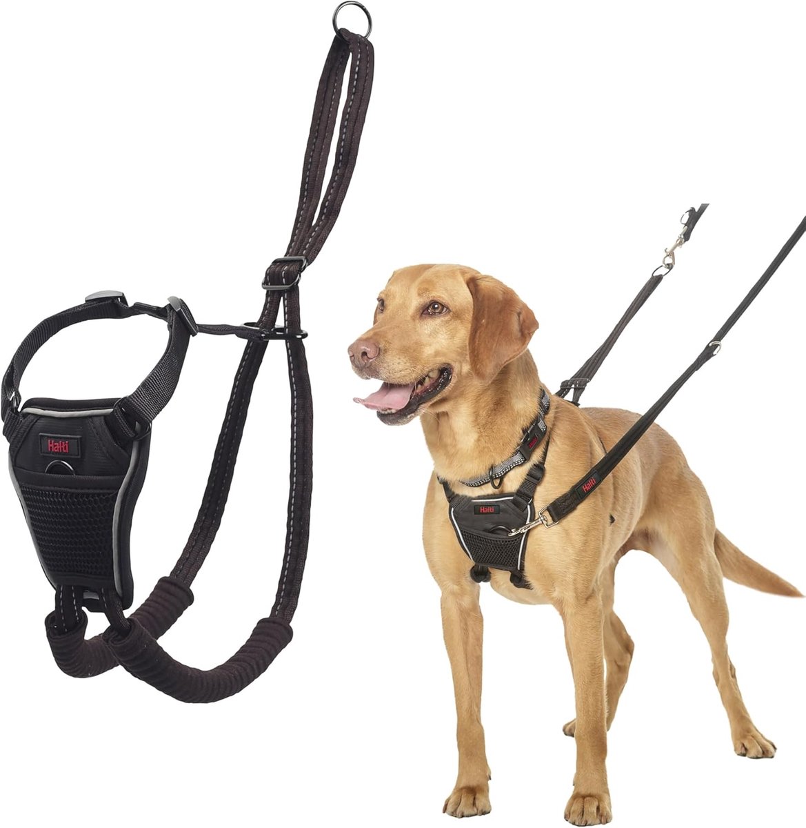 Thijox - HALTI No Pull Harnasmaat Medium - Professioneel Hondentuig, Anti-Trek Harnas, Verstelbaar, Gemakkelijk in Gebruik, Trainingshulp voor Honden,