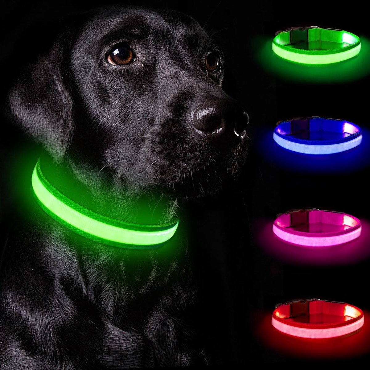 SnelShoppen - Nepfaivy LED Hondenhalsband - Oplaadbare Flitsende Hondenband voor Grote, Middelgrote en Kleine Honden - Verstelbaar met 3 Flitsmodi voo