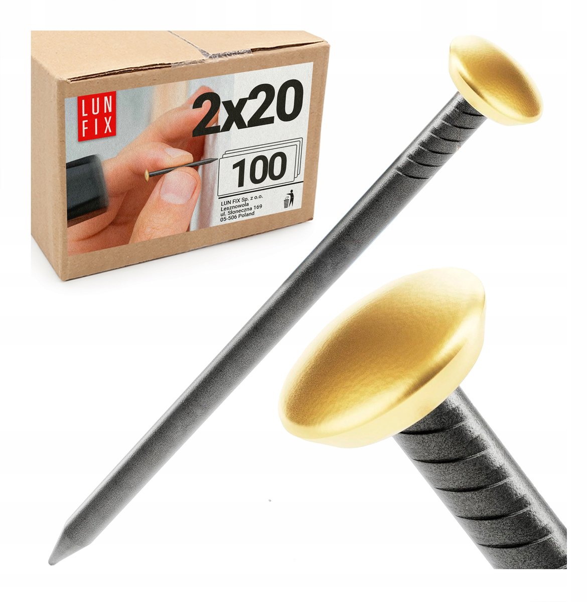 LUN FIX - Schilderij en Fotolijst Haakjes 2 x 20 mm - 100 stk. - staal Muurspijkers - Decoratieve Gouben Kop